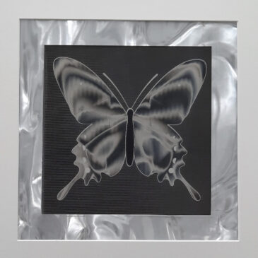 Black satin butterfly